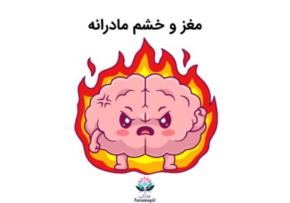 مغز و خشم مادرانه